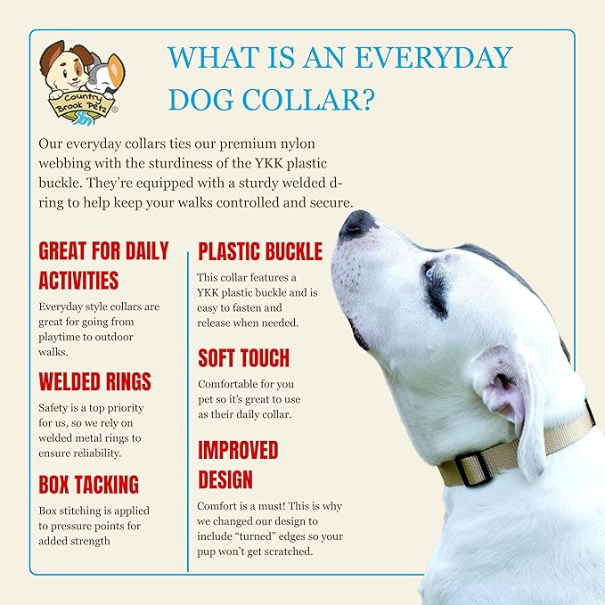 Country Brook Petz - Everyday Nylon Dog Collar for Large, Medium, and Small Dogs and Puppies - for Everyday Use in 10+ Warm Colors (2XS, 3/8 Inch Wide, Copper Gold)