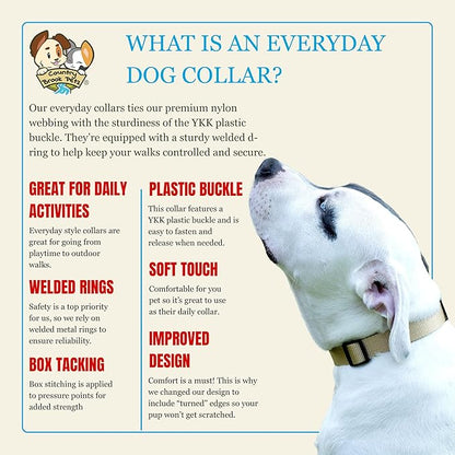 Country Brook Petz - Everyday Nylon Dog Collar for Large, Medium, and Small Dogs and Puppies - for Everyday Use in 10+ Warm Colors (2XS, 3/8 Inch Wide, Copper Gold)