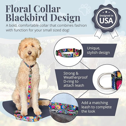 Lucky Love Dog - Adjustable Dog Collar with Easy Click Buckle for Small Dogs, Durable, & Comfortable for Male & Female Dogs, Pet Collar for Puppies & Adult Dogs - Blackbird, Small