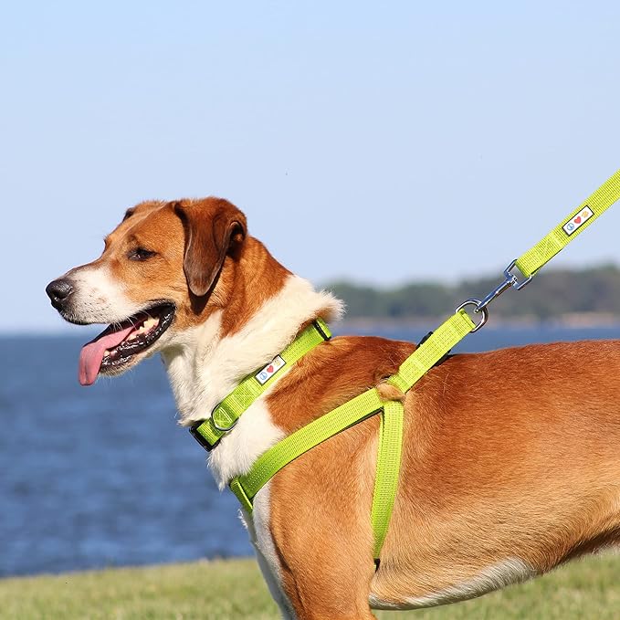 Pawtitas Reflective Step-in Dog Harness – Adjustable No-Pull Vest for Puppies to Seniors, Safe & Comfortable, L Black