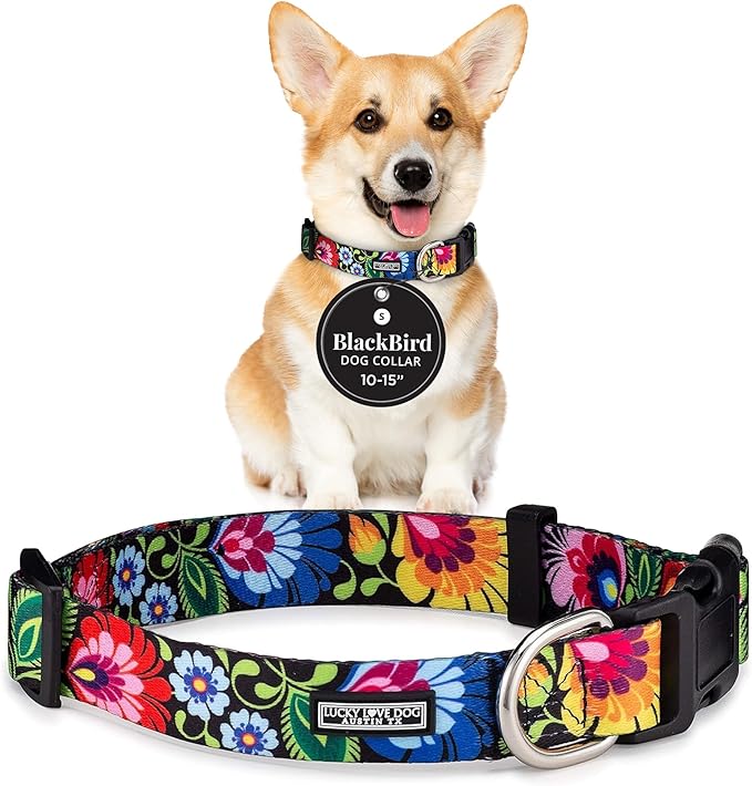 Lucky Love Dog - Adjustable Dog Collar with Easy Click Buckle for Small Dogs, Durable, & Comfortable for Male & Female Dogs, Pet Collar for Puppies & Adult Dogs - Blackbird, Small