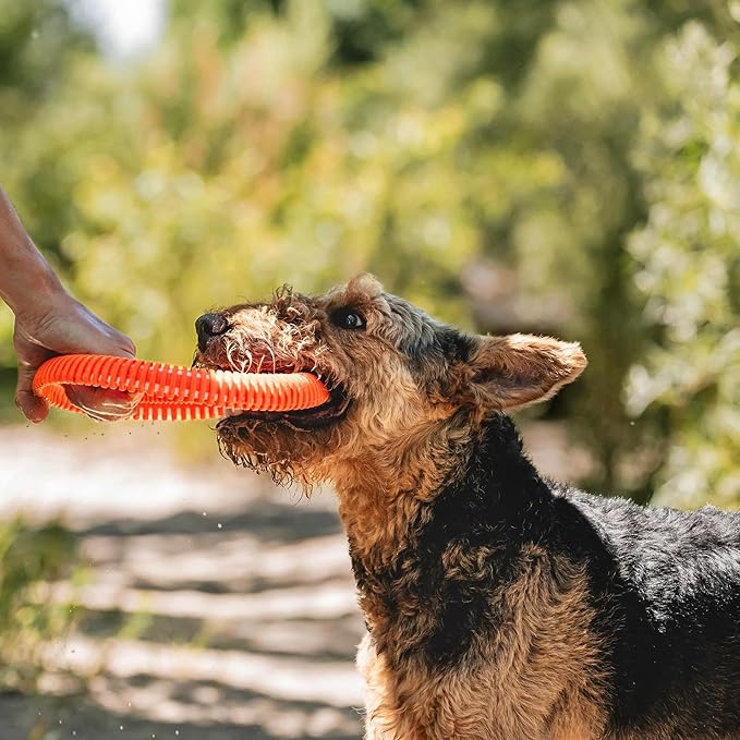 Chuckit! Rugged Flyer Dog Toy, Medium, Assorted Colors