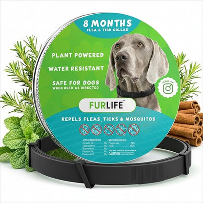 FurLife Flea and Tick Collar for Dogs – Waterproof Black Dog Collar, Pet Supplies for Tick and Flea Prevention for Dogs, Safe for All Breeds