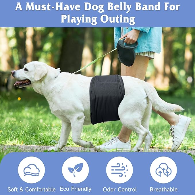 5 Pack Dog Diapers Male Reusable, Premium Belly Bands for Dogs, High Absorbing Male Dog Pee Wraps for Doggie in Incontinence or Excitable Urination and Training Gray L