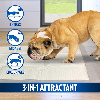 OUT! Heavy Duty XXL Dog Pads - Absorbent Pet Training and Puppy Pads - 26 x 30 in - 30 Count,White (Pack of 2)