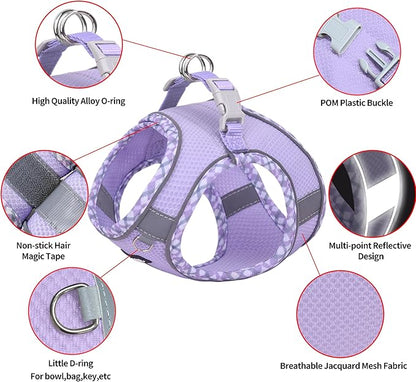 AIITLE Teacup Puppy Harness with Leash - Adjustable Soft Vest with Magic Tape & Reflective Safety Strips, Easy-Put-On for Poodles, Pomeranians - Gym, Hiking, Travel (Purple, S)