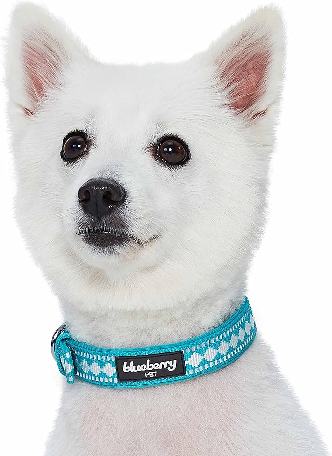 Blueberry Pet Reflective Jacquard Dog Collar with Neoprene Padding & Metal Buckle | Soft & Adjustable Safety Collar - Peacock, Neck 9-12.5", for Small Breed