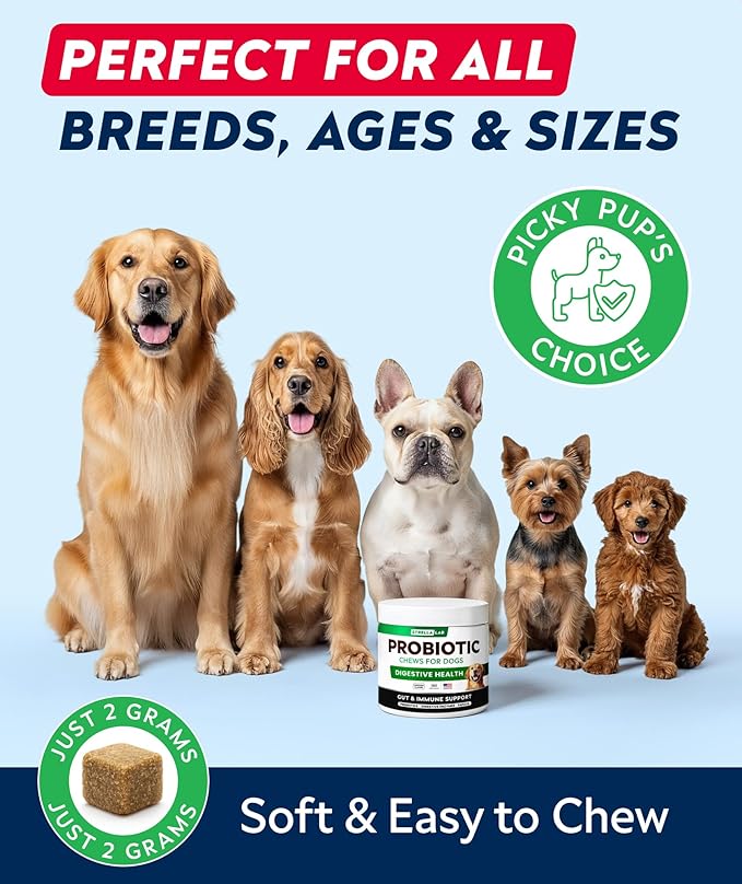 STRELLALAB Dog Probiotics Chews for Gut Support & Digestive Health with Enzymes - Anti Diarrhea and Upset Stomach Immune Supplement - Digestion Treats with Fiber and Prebiotics (180Ct, Chicken)