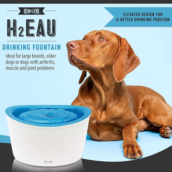 Zeus Fresh & Clear Elevated Dog and Cat Water Dispenser, Large Drinking Water Fountain with Purifying Filter, 6L Capacity, 1 Count (Pack of 1)
