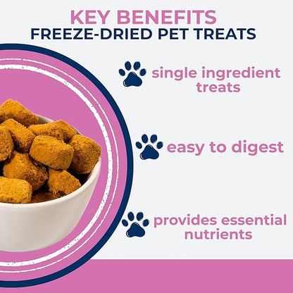 Momentum Carnivore Nutrition Freeze-Dried Wild-Caught Salmon Dog Treats & Cat Treats – Single-Ingredient, High-Protein, Grain-Free, Natural Source of Omega-3s – Made in USA – 3 oz Bag
