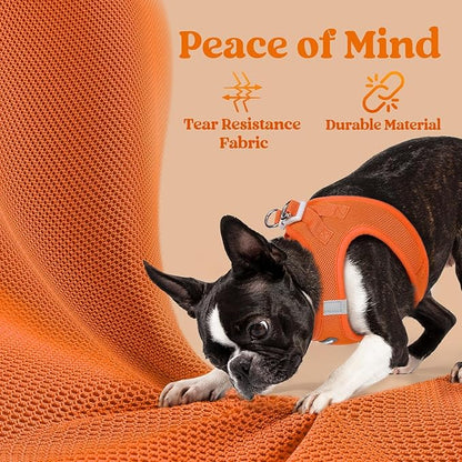rabbitgoo Small Dog Harness, Step-in Soft Mesh Puppy Vest with Safety Buckle, Breathable Reflective Pet Harness for Small Medium Dogs, Orange XL