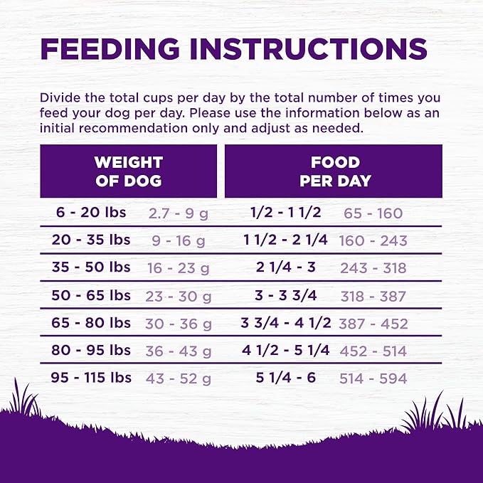 Wellness Complete Health Sensitive Skin and Stomach Dry Dog Food, Wholesome Grain Kibble, Natural, Chicken Free, Salmon and Rice Recipe, 24 lb Bag