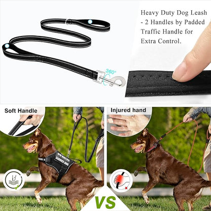 WINSEE Service Dog Harness & Leash Set, Large, Black with 10 Patches, Reflective, Adjustable, for Medium & Large Dogs