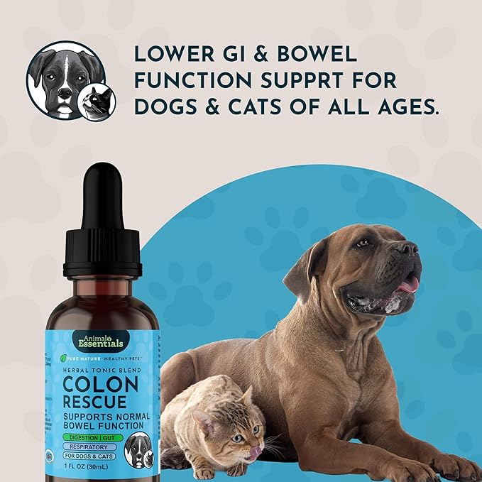 Animal Essentials Colon Rescue for Dogs & Cats - Constipation Relief, Stool Softener with Slippery Elm, Marshmallow Root, Licorice Root - 1 Fl Oz