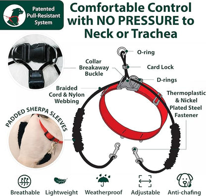 Sporn Original Dog Halter, No Pull Dog Harness, Durable Nylon Collar with Padded Restraint Sleeves for Small Breeds, No Choke Design, Adjustable Fit, Easy On/Off, Black, Small