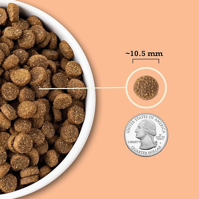ACANA Wholesome Grains Dry Dog Food Puppy Recipe Real Chicken Eggs and Turkey 11.5lb Bag