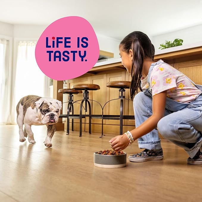 Kibbles 'n Bits Mini Bits Small Breed Dry Dog Food, Savory Beef & Chicken Flavors for Adult Dogs, 3.5 lb. Bag, 4 Count