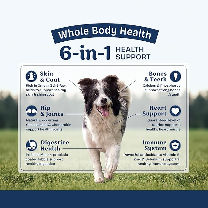 Natural Balance Health Protection Dry Dog Food – Whole Body Health, Easy on Digestion Dog Food Made with Lamb, Brown Rice & Pumpkin for Dogs - 24lbs.