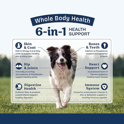 Natural Balance Health Protection Dry Dog Food – Whole Body Health, Easy on Digestion Dog Food Made with Salmon, Brown Rice & Pumpkin for Dogs - 4lbs.