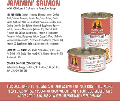 Weruva Classic Dog Food, Jammin' Salmon with Chicken & Salmon in Gravy, 5.5oz Can (Pack of 24)