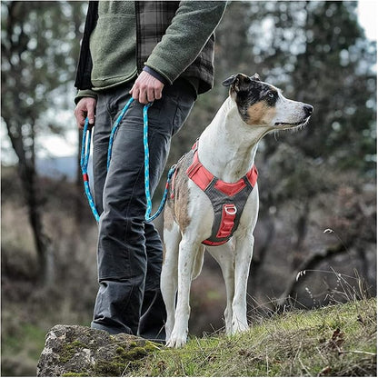 Kurgo Journey Air Dog Harness - Secure Fit for Active Dogs - Padded Chest - Lightweight Ripstop Fabric - Breathable Mesh - Reflective Trim - Back Assist Handle - Coral - X-Large