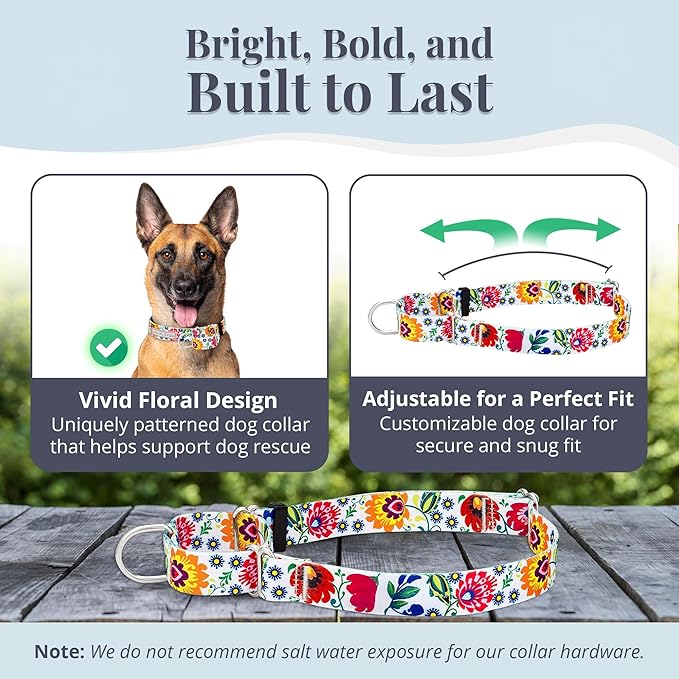 Lucky Love Dog Martingale Dog Collar - Adjustable, No-Slip, Durable, & Soft Webbing Collar for Male and Female Dogs Ideal for Training & Walking - Ladybird, Large