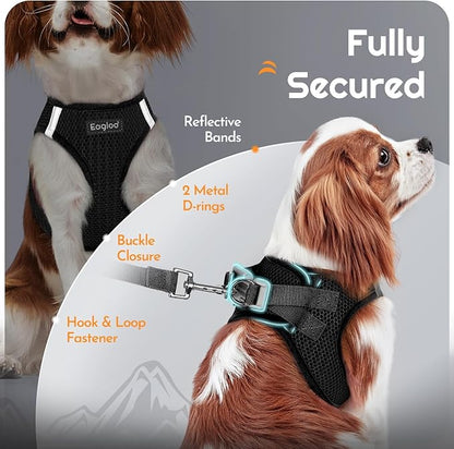 Eagloo Small Dog Harness and Leash Set, Step in Puppy Vest with Breathable Soft Mesh, Walking Reflective Pet Harness for Extra Small Dogs, Black, XXS