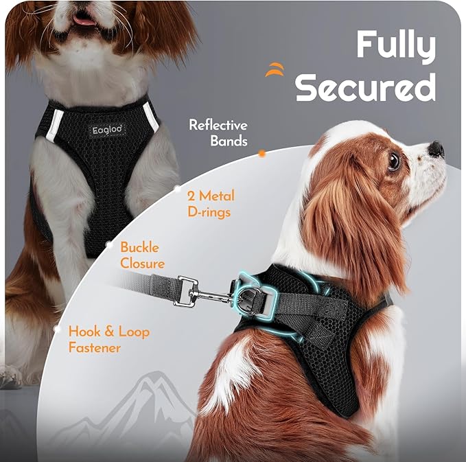 Eagloo Small Dog Harness and Leash Set, Step in Puppy Vest with Breathable Soft Mesh, Walking Reflective Pet Harness for Small Dogs, Black, S