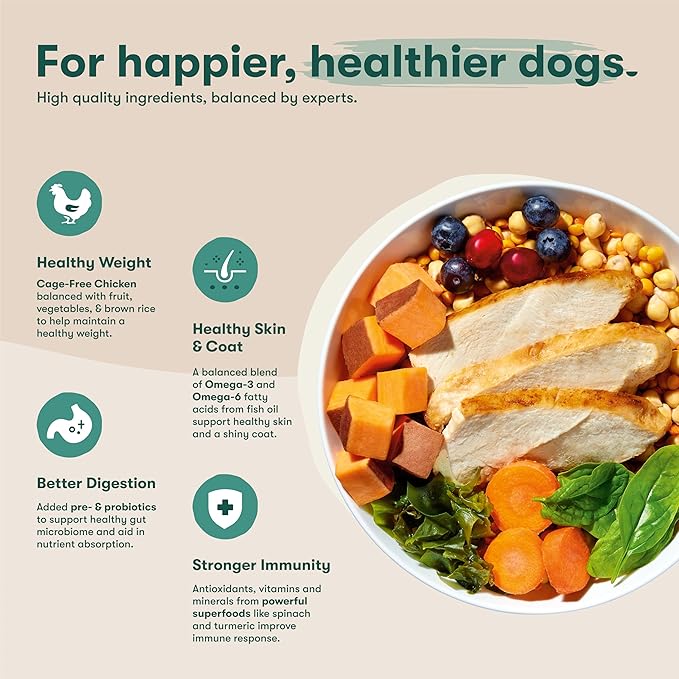 Jinx Premium Grain-Free Dry Dog Food, for All Lifestages - Real Chicken, Sweet Potato & Carrot Kibble with Superfoods for Immune Support & Probiotics for Digestive Support - No Fillers -30lb