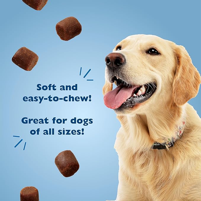 Bil-Jac Original Recipe Soft Training Treats for Dogs, Made with Real Chicken Liver, Resealable Double Zipper Pouch 20oz (2-Pack)