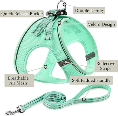 Dog Harness with Leash Set, No Pull Adjustable Reflective Step-in Puppy Pet Vest Harnesses for Small Medium Large Dogs and Cats,Green XXS