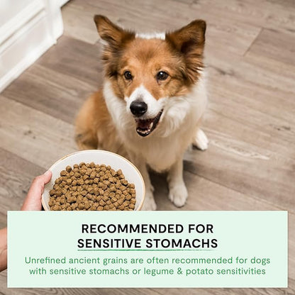 Open Farm, Ancient Grains Dry Dog Food, Protein-Rich & Nutrient Dense, 90% Animal Protein Mixed with Non-GMO Fruits, Veggies and Superfoods, Homestead Turkey Recipe, 11lb Bag