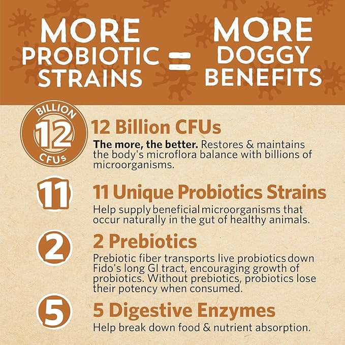 Fidobiotics Good Guts for Big Mutts Probiotic for Dogs, 12 Billion CFUs, 11 Strains, 5 Digestive Enzymes, 2 Prebiotics, Digestive Gut Health for Dogs, Adult & Puppy Probiotics Supplements, Pack of 2
