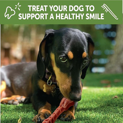 Whimzees Wellness Brushzees Dog Dental Treat, VOHC Accepted Chews, Freshens Breath, Extra-Small Size, 12.7 oz Bag, 48 Count
