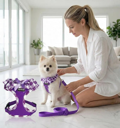 SuperBuddy Upgraded Soft Mesh Dog Harness, Super Breathable Lightweight Pet Harnesses for Puppy Dogs Outdoor Walking, Purple Dog Harness and Dog Leash Set Packing -XSmall