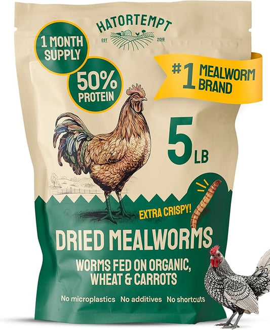 Hatortempt Dried Mealworms - Non-GMO & Organic - High-Protein Mealworms for Wild Bird Food, Ducks & Chickens (5lb)