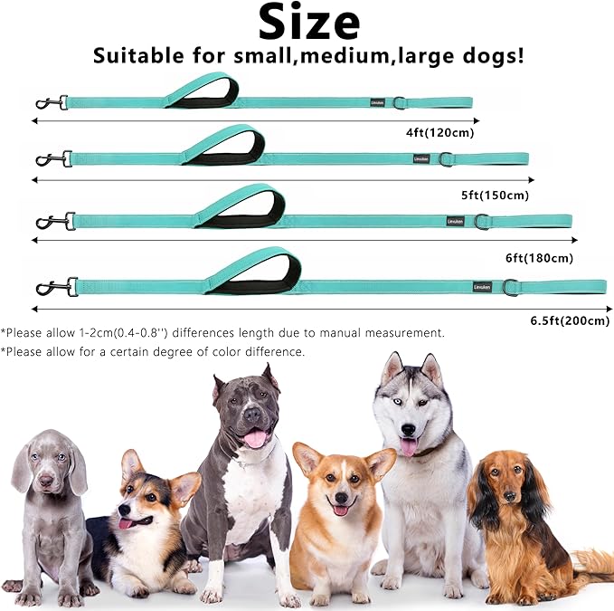 Dog Leash 5ft Long, Double Handle Dog Leash for Safety Control Training, Heavy Duty Dog Leads with Traffic Padded Handles, Reflective Leashes for Small Medium Large Dogs(5ft, Turquoise)