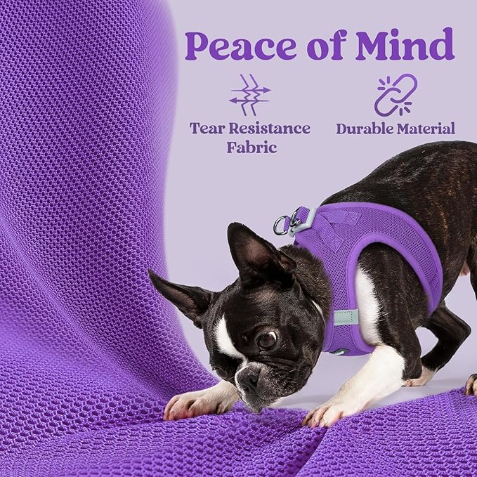 rabbitgoo Small Dog Harness, Step-in Soft Mesh Puppy Vest with Safety Buckle, Breathable Reflective Pet Harness for Extra Small Dogs, Purple XXS