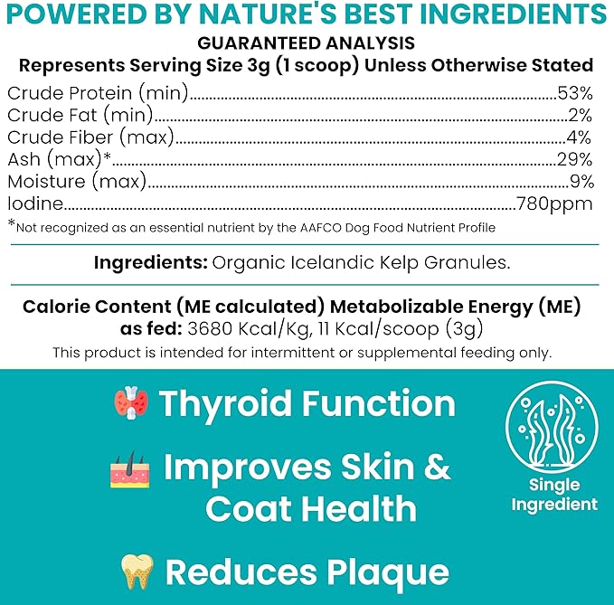 Kelp Supplement for Dogs - 16 oz of Kelp Powder Granules with 5cc Spoon - Good for Healthy Thyroid Function, Reduce Dental Plaque, and Skin Health - Made in the USA