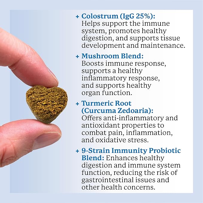 Dr. Harvey's Dog Allergy & Anti-Itch Relief Soft Chew Supplement Bites for Dogs, Daily Immune & Digestive Health Support with Functional Mushrooms, Super Herbs, Probiotics, Salmon Flavor (90 Chews)