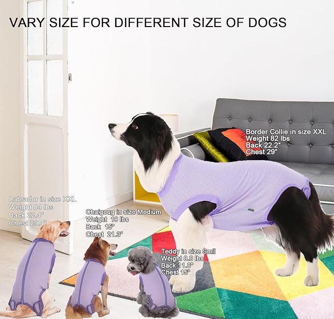 Dog Recovery Suit Purple Female Spay Surgical Small Shirt, Male Surgery Recovery Suit,Purple-White Striped XS