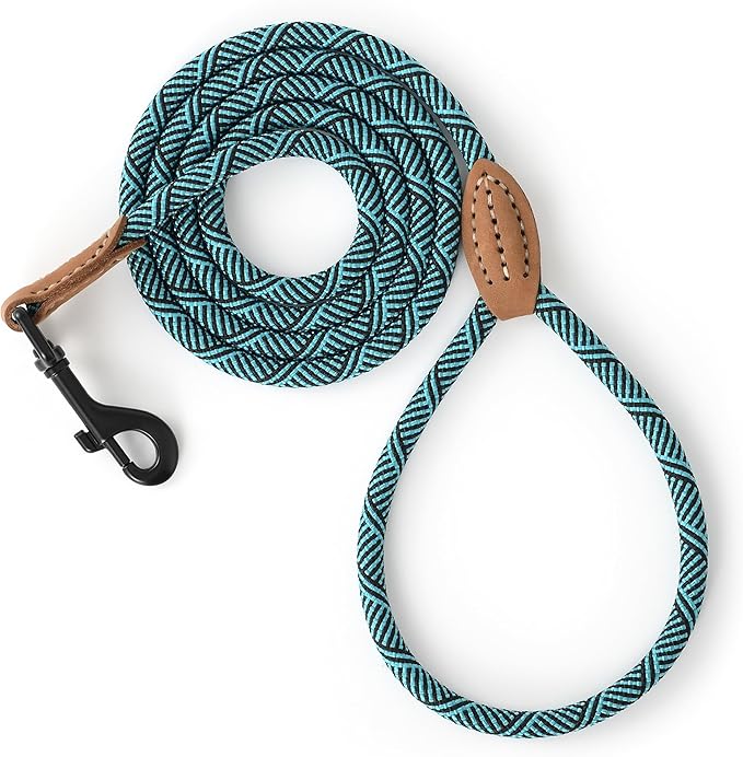 Mile High Life Small Dog Leash, Thin Rope Leash with Genuine Leather Connection and Heavy Duty Metal Clasp, Great for Small Medium Dogs(Turquoise Green, 60 Inch-1/3)