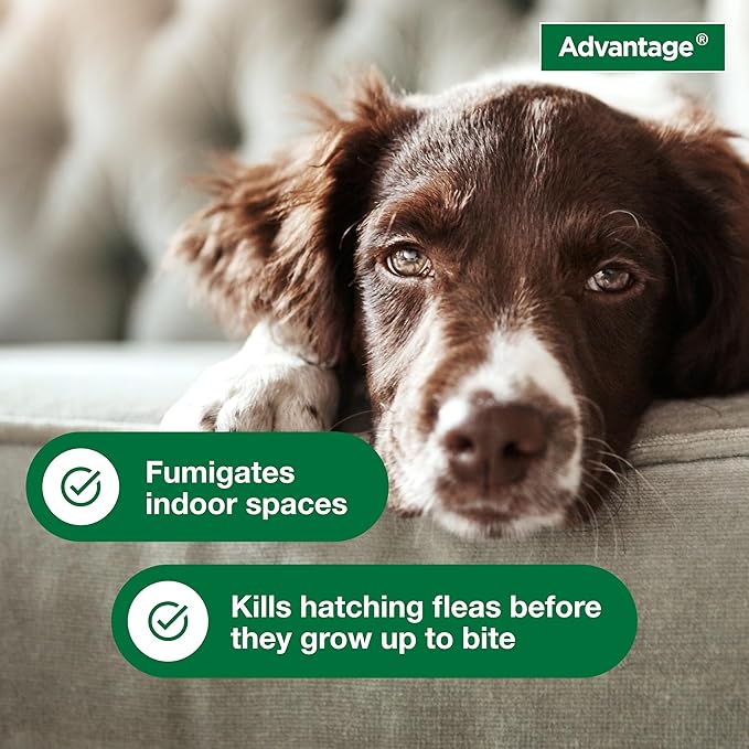Advantage Household Fogger | Kills Fleas & Ticks | Flea Fogger for Home | 2 oz. Canisters (Pack of 3)