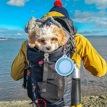 SLSON Collapsible Dog Bowl, 2Pack Macaron Color Pet Travel Bowls Silicone Foldable Water Feeder Dish for Small to Large Dogs Cat Walking Hiking Camping (Macaron Blue and Light Grey, Small)