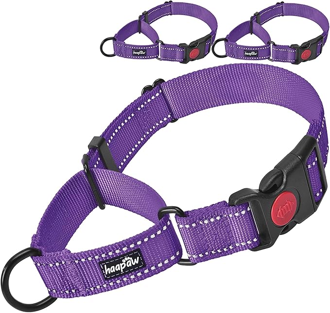 haapaw 2 Packs Martingale Dog Collar with Quick Release Buckle Reflective Dog Training Collars for Small Medium Large Dogs (Medium, Purple/Purple)