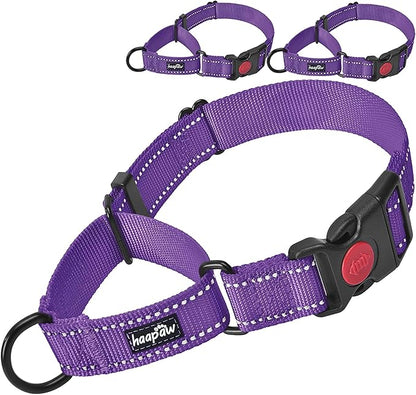 haapaw 2 Packs Martingale Dog Collar with Quick Release Buckle Reflective Dog Training Collars for Small Medium Large Dogs (Medium, Purple/Purple)