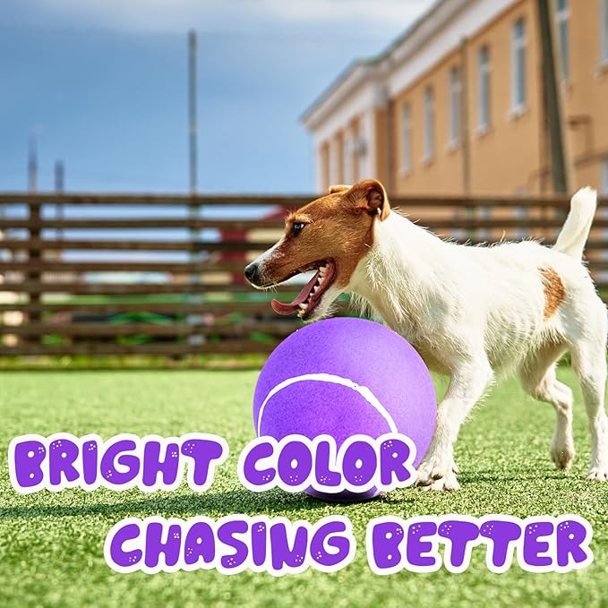 Banfeng Big Tennis Ball for Dogs, Giant Dog Tennis Ball Toy Large Outdoor Sports Gift for Small Medium Large Dog (Purple, 9.5 inch)