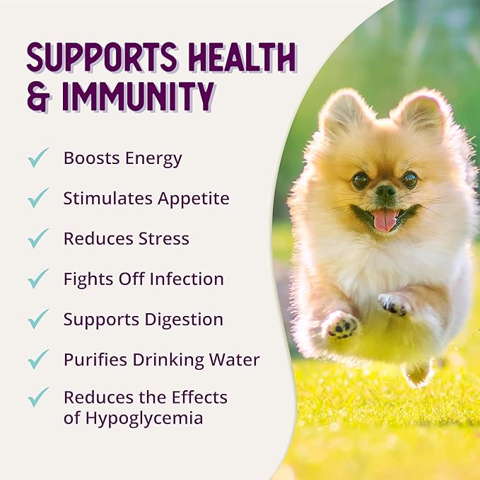 Health Extension Stress Relief Supplement for Dogs, 4oz - Appetite & Energy Boost, Prevents Hypoglycemia, Enriched with Vitamin B