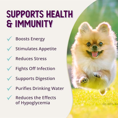 Health Extension Stress Relief Supplement for Dogs, 8oz - Appetite & Energy Boost, Prevents Hypoglycemia, Enriched with Vitamin B