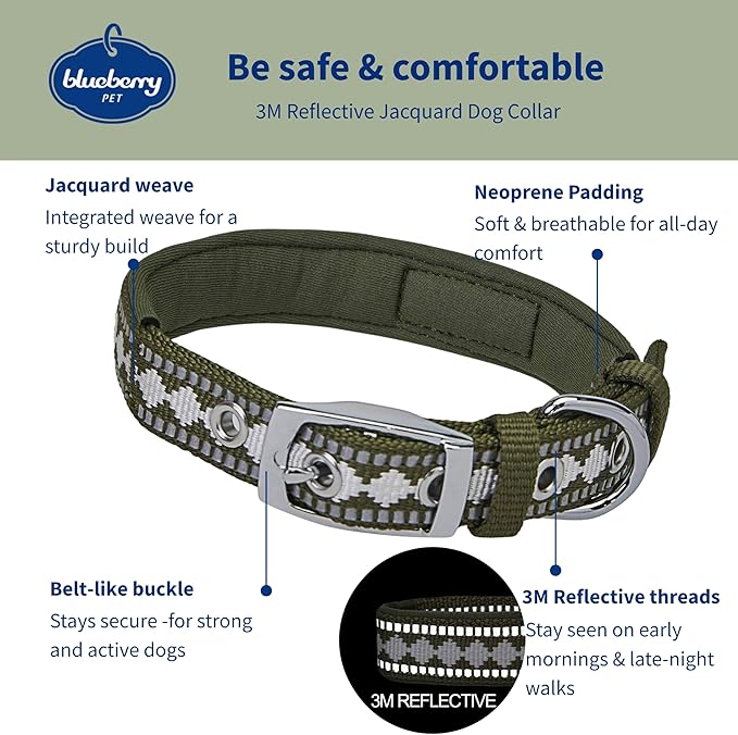 Blueberry Pet Reflective Jacquard Dog Collar with Neoprene Padding & Metal Buckle | Soft & Adjustable Safety Collar - Olive, Neck 9-12.5", for Small Breed